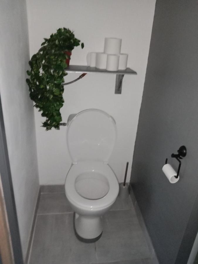 Gite Au Calme Centre Finistere Jardin Clos Trégourez 외부 사진